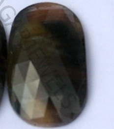 Multi Sapphire Rose Cut Slice