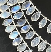 Rainbow Moonstone Dolphin Briolette