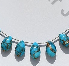 Copper Turquoise Dolphin Briolette