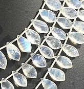 Rainbow Moonstone Dolphin Briolette