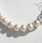 wholesale Pearl  Plane Round