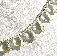 Scapolite Gemstone  Conch Briolette