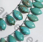 Turquoise Gemstone Dolphin Briolette
