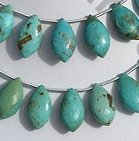 Turquoise Gemstone Dolphin Briolette