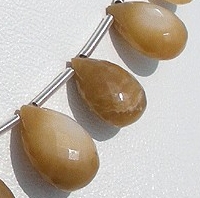 Coral  Flat Pear Briolette
