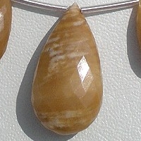 Coral  Flat Pear Briolette
